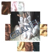 GRANEL MAS LOGOTIPO