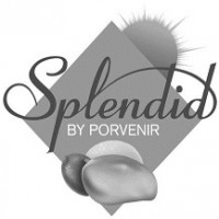 SPLENDID BY PORVENIR & DESIGN