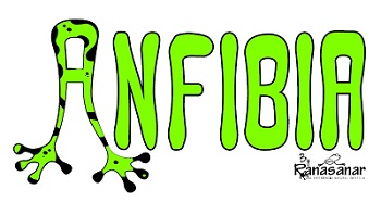 ANFIBIA BY RANASANAR (Y LOGOTIPO)
