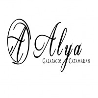 ALYA GALAPAGOS CATAMARAN MAS DISEÑO
