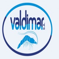 VALDIMAR S.A. MAS LOGOTIPO
