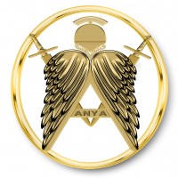 ANYA MAS DISEÑO (ANGEL)