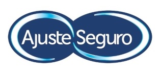 AJUSTE SEGURO + GRAFICA A COLORES