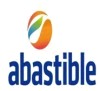ABASTIBLE MAS DISEÑO