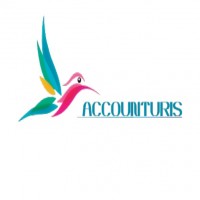 ACCOUNTURIS MAS LOGOTIPO