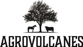 AGROVOLCANES  MAS DISEÑO