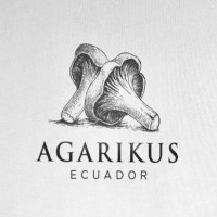 AGARIKUS ECUADOR  MAS GRAFICA