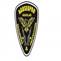 AGUSEGPRO AGUILAS SEGURIDAD &  MAS GRAFICO.