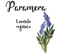 Paramera más diseño