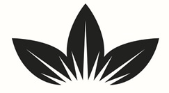 3 hojas DISEÑO