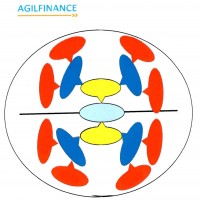 AGILFINANCE Y DISEÑO DE ETIQUETA