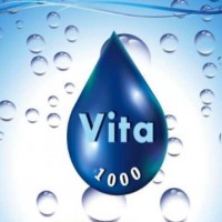 VITA 1000