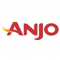 ANJO Y LOGOTIPO