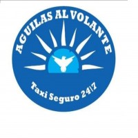 AGUILAS AL VOLANTE MÁS LOGOTIPO