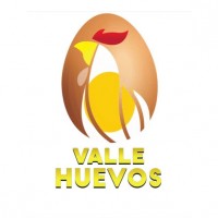 VALLE HUEVOS Y DISEÑO