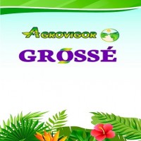 AGROVIGOR GROSSÉ & DISEÑO