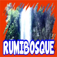 RUMIBOSQUE MAS LOGOTIPO