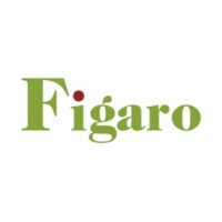 FIGARO Y DISEÑO