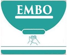 EMBO & DISEÑO