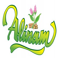 Alinam más diseño de flor de jengibre