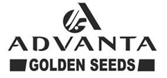 A ADVANTA GOLDEN SEEDS & Diseño