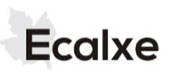 Ecalxe & Diseño