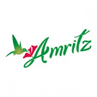 AMRITZ MAS LOGOTIPO