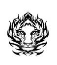 DISEÑO DE TIGRE