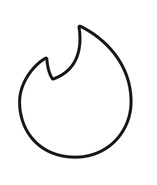 LOGO (Flame)
