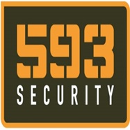 593SECURITY MAS NUEVO LOGOTIPO