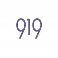 919 (y logotipo)