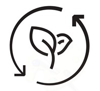 DISEÑO (hoja)