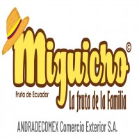 Miguicho la fruta de la Familia C. Fruta de Ecuador ANDRADECOMEX Comercio Exterior S.A + DISEÑO CARACTERISTICO