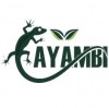 AYAMBI MÁS LOGOTIPO