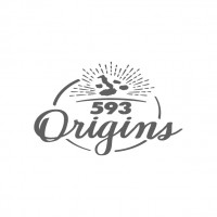 593 Origins y logotipo