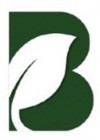 B & DISEÑO