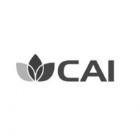 CAI Y DISEÑO