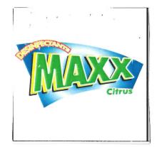 DESINFECTANTE MAXX Citrus