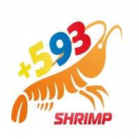 593 SHRIMP MAS LOGOTIPO
