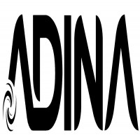 ADINA y diseño