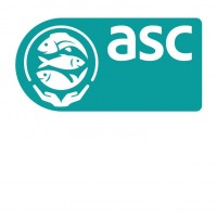 asc Y DISEÑO