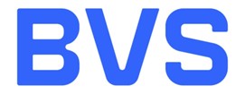 BVS + DISEÑO DE LETRAS A COLOR