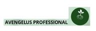AVENGELUS PROFESSIONAL y diseño