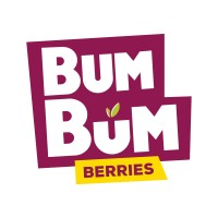 BUMBUMBERRIES MÁS LOGOTIPO