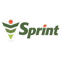 Sprint Y DISEÑO