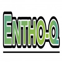 ENTHO-Q