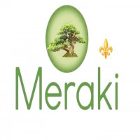 Meraki