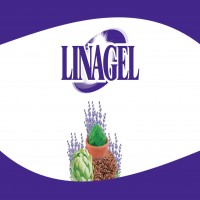 LINAGEL MÁS DISEÑO