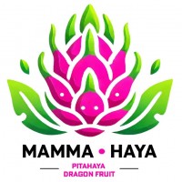 MAMMA · HAYA MÁS LOGOTIPO