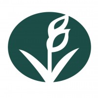 DISEÑO (AGARISMAL)